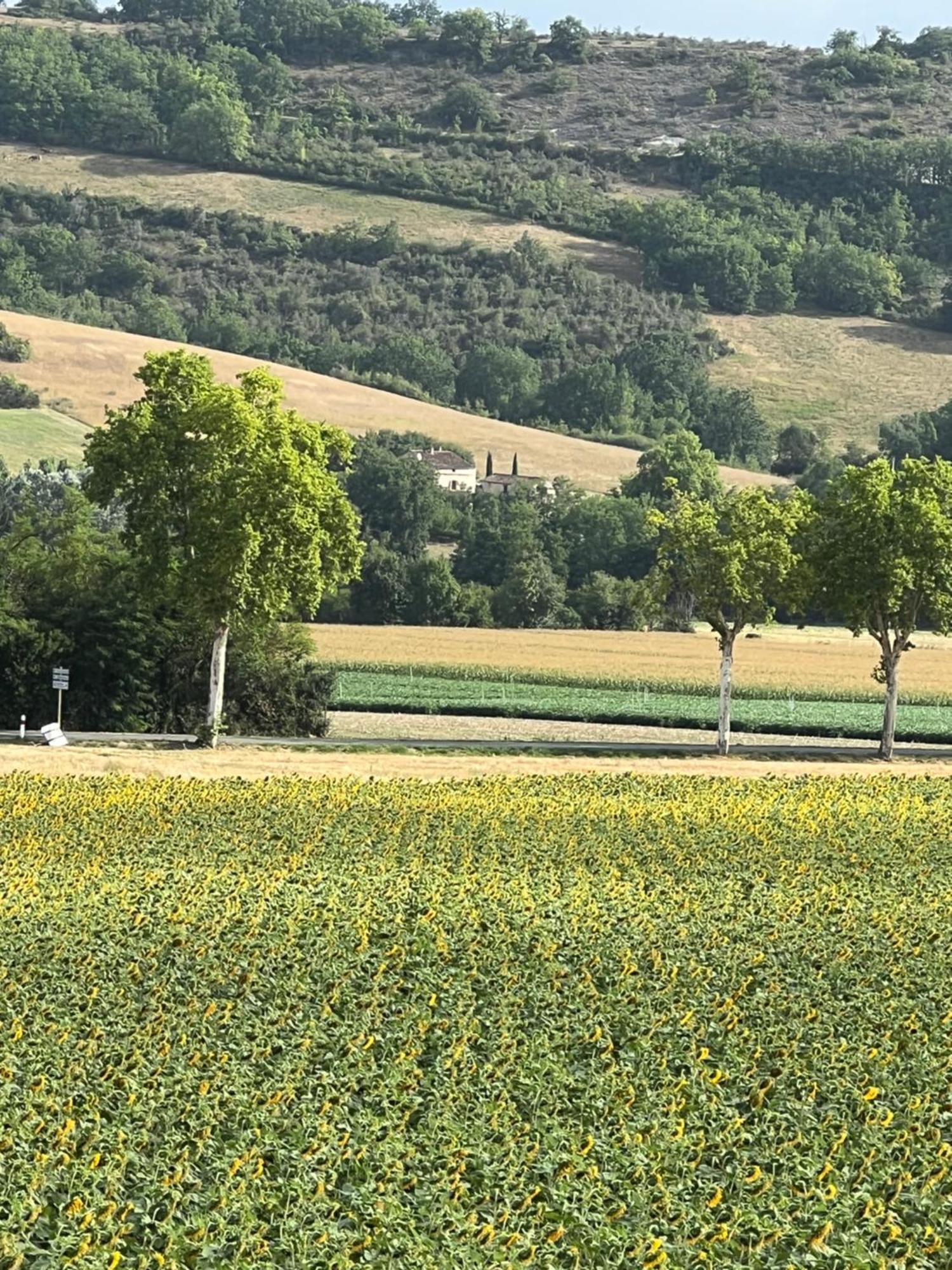 La Bastide De La Bogne Bed & Breakfast Vindrac-Alayrac Exterior photo